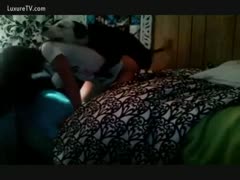 Dog sex in low light